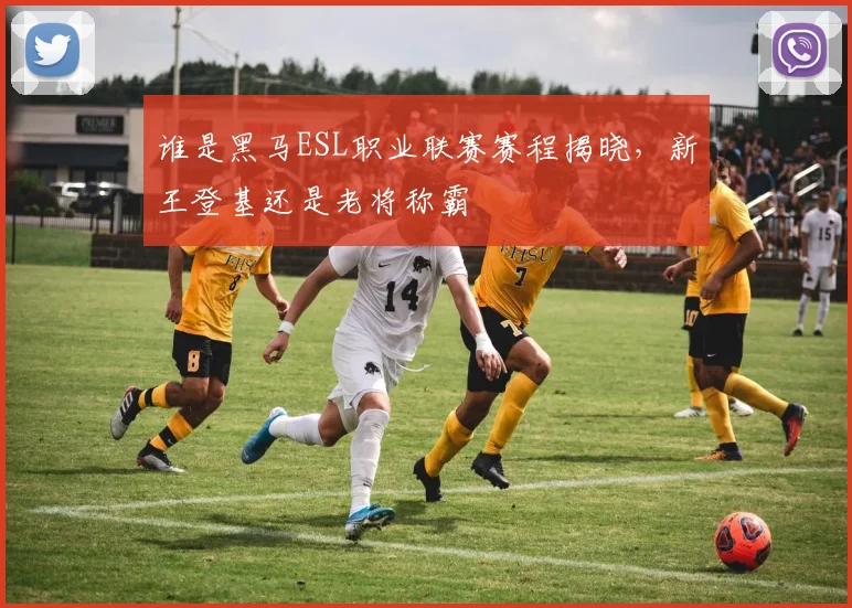 谁是黑马ESL职业联赛赛程揭晓，新王登基还是老将称霸